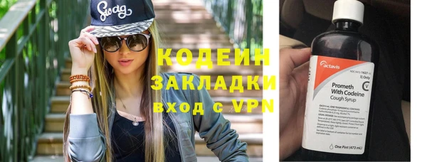 шишки Надым