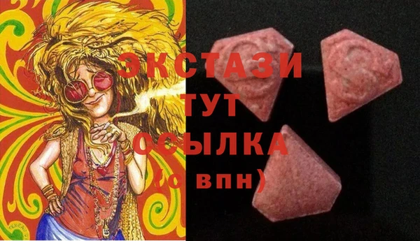 шишки Надым