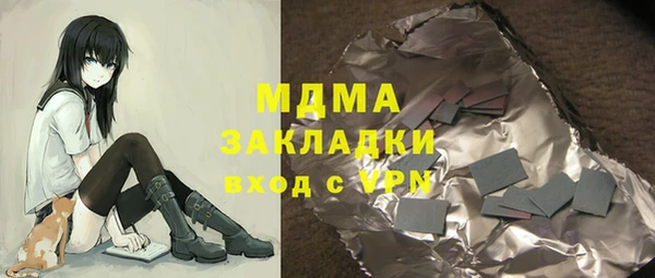 шишки Надым