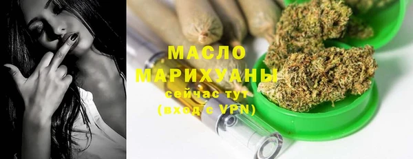 шишки Надым