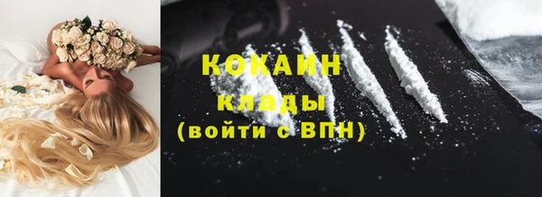 шишки Надым