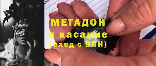 шишки Надым