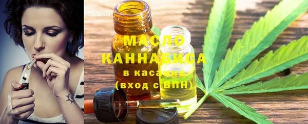шишки Надым