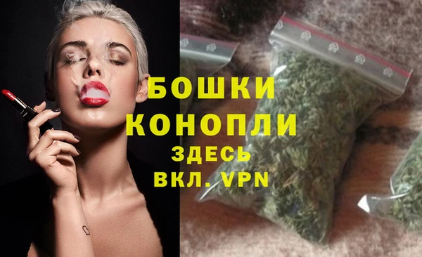 гашик Каменск-Шахтинский