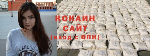 соль ск Бикин